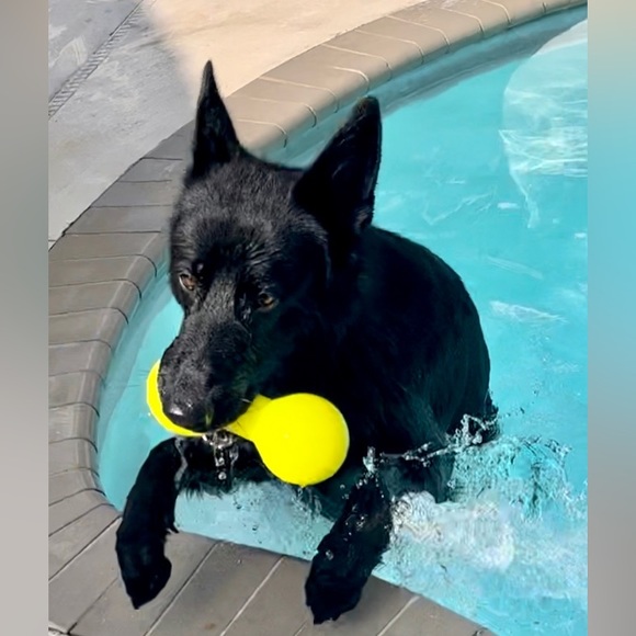 👉PLEASE LIKE AND SHARE NEW GAME! 😊🥰🎉 - Picture 7 of 16